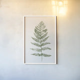 Fern Print II White Crop by Moira Hershey. shown as a paper print in a white frame. Available as a archival giclee rolled canvas, fine art paper, or poster print. SKU 67462h.