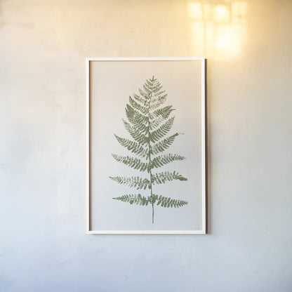 Fern Print II White Crop by Moira Hershey. shown as a paper print in a white frame. Available as a archival giclee rolled canvas, fine art paper, or poster print. SKU 67462h.