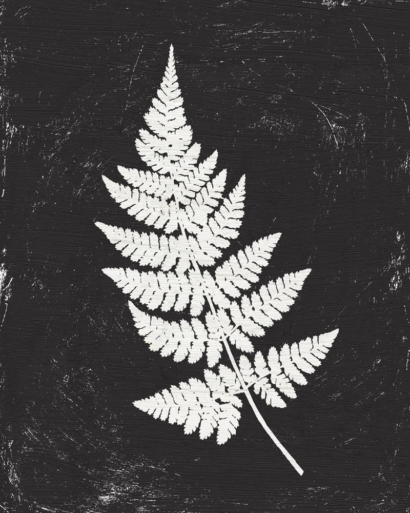 Forest Shadows I Black Crop by Moira Hershey