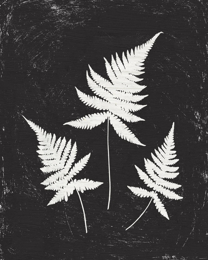 Forest Shadows IV Black Crop by Moira Hershey