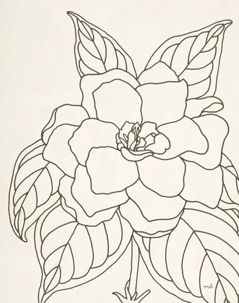 Gardenia Line Drawing Crop by Moira Hershey