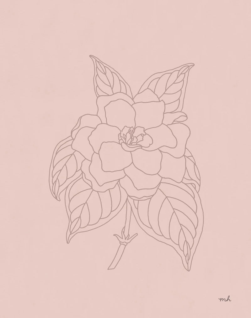 Gardenia Line Drawing Pink by Moira Hershey