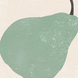 Graphic Fruit IV by Moira Hershey. SKU 67152a. Archival Giclee Fine art print for wall decor.