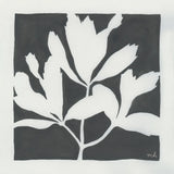 Growing II Gray by Moira Hershey. SKU 79800a. Archival Giclee Fine art print for wall decor.