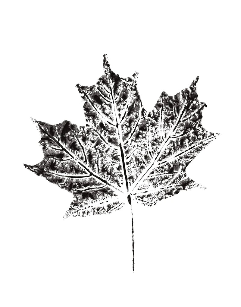Harvest Sentiments I BW no Words by Moira Hershey
