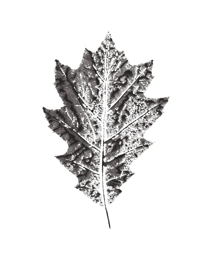 Harvest Sentiments VII BW no Words by Moira Hershey