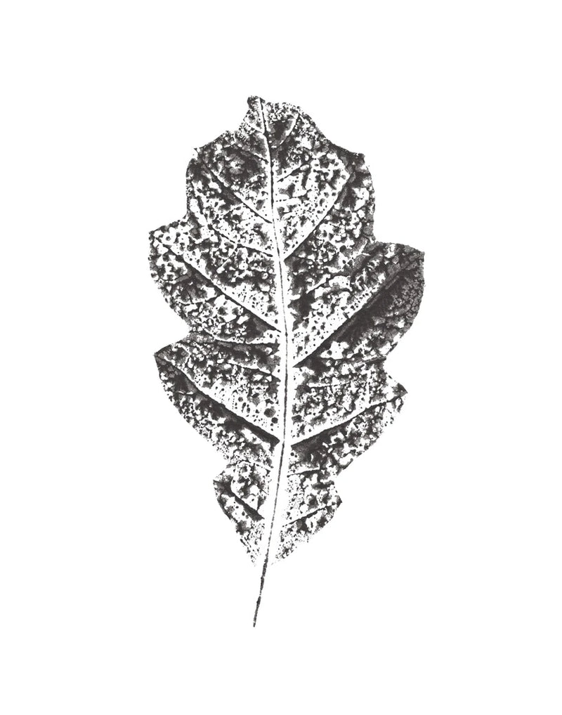 Harvest Sentiments VIII BW no Words by Moira Hershey