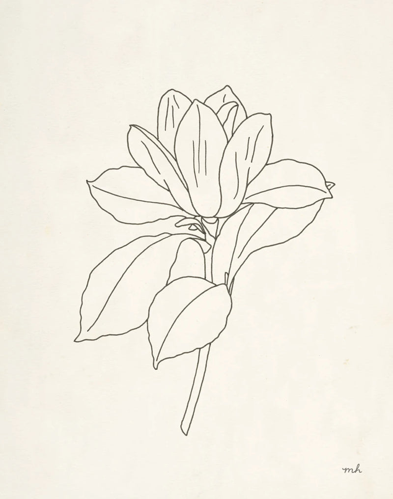Magnolia Line Drawing by Moira Hershey