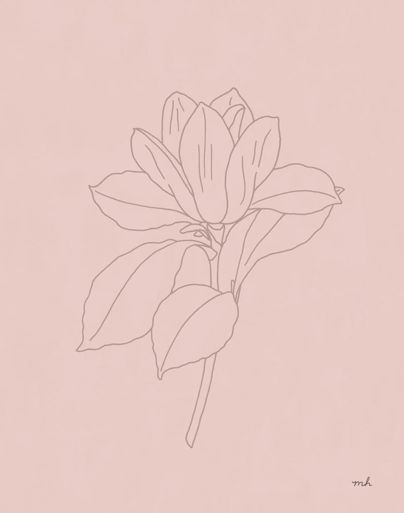 Magnolia Line Drawing Pink by Moira Hershey