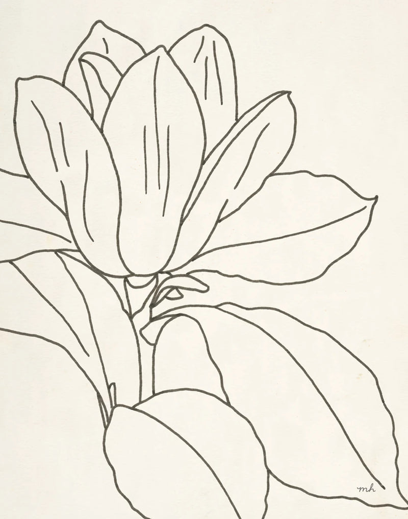 Magnolia Line Drawing v2 Crop by Moira Hershey