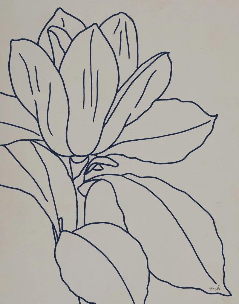 Magnolia Line Drawing v2 Gray Crop by Moira Hershey