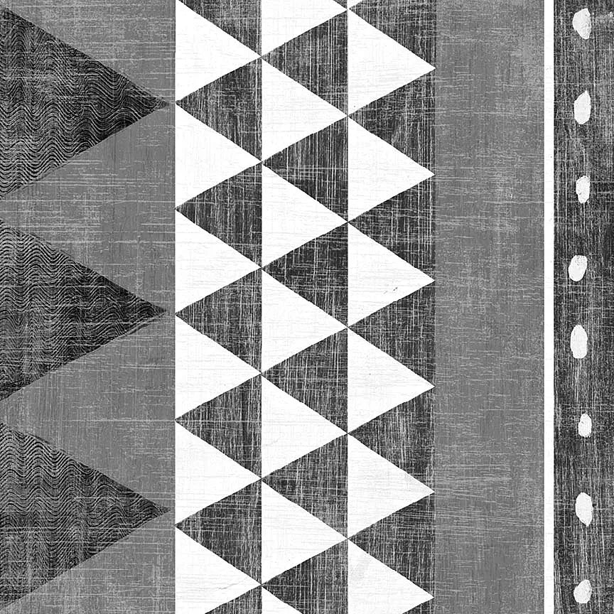 Patterns of the Savanna I BW Mirror by Moira Hershey. SKU 38416a. Archival Giclee Fine art print for wall decor.