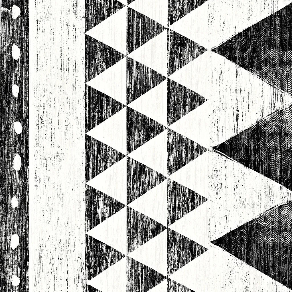 Patterns of the Savanna I No Gray BW by Moira Hershey. SKU 32124a. Archival Giclee Fine art print for wall decor.