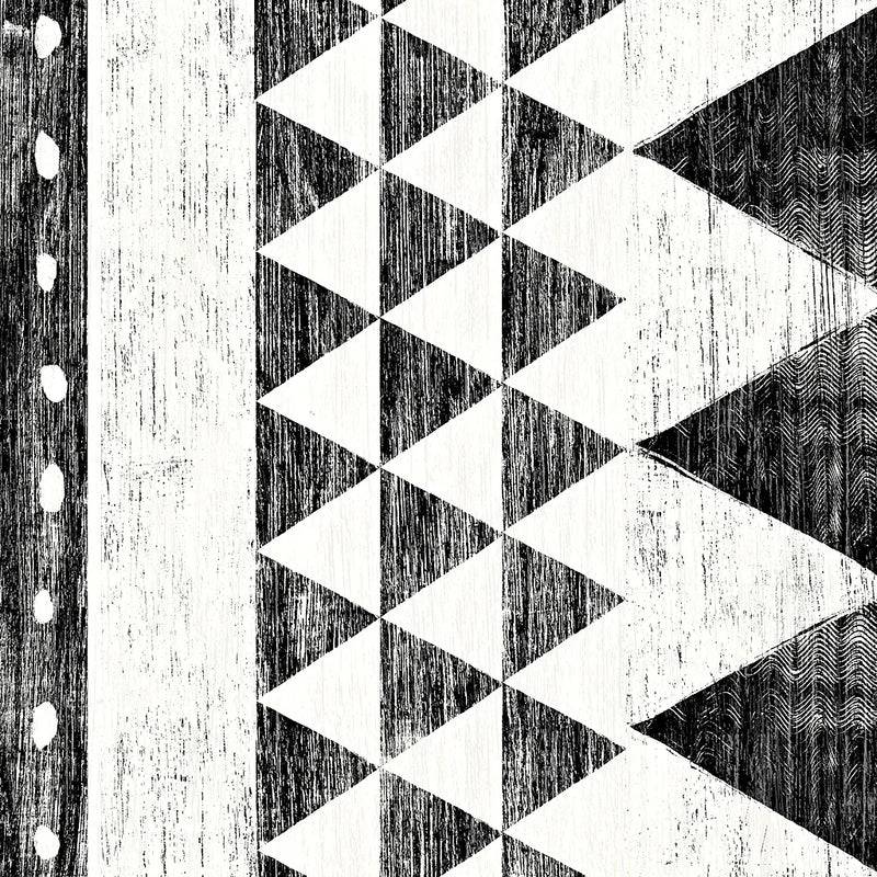 Patterns of the Savanna I No Gray BW by Moira Hershey. SKU 32124a. Archival Giclee Fine art print for wall decor.