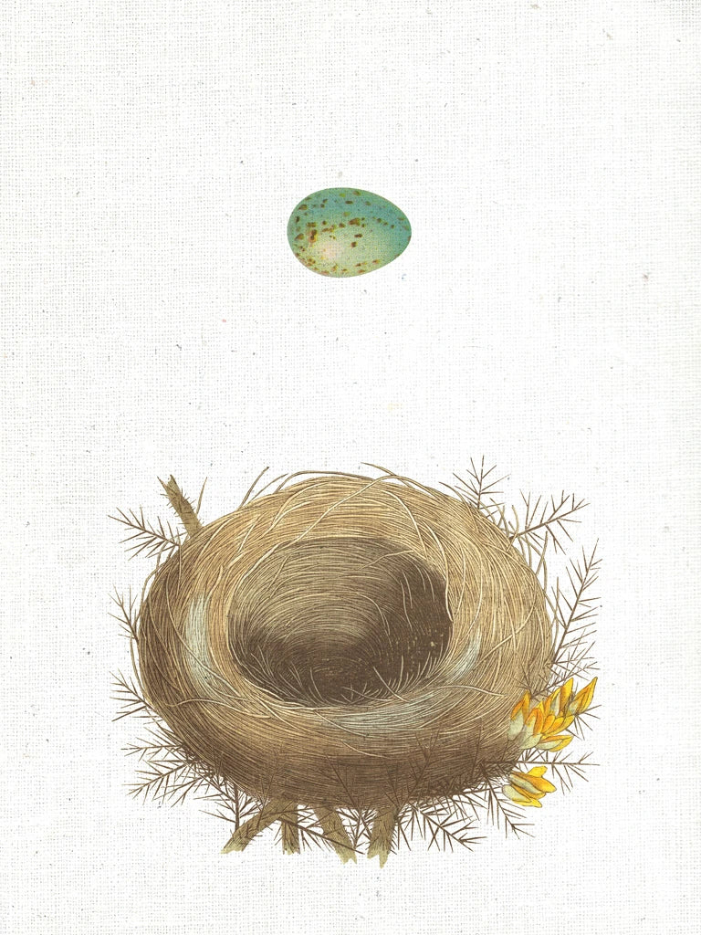 Spring Nest I by Moira Hershey