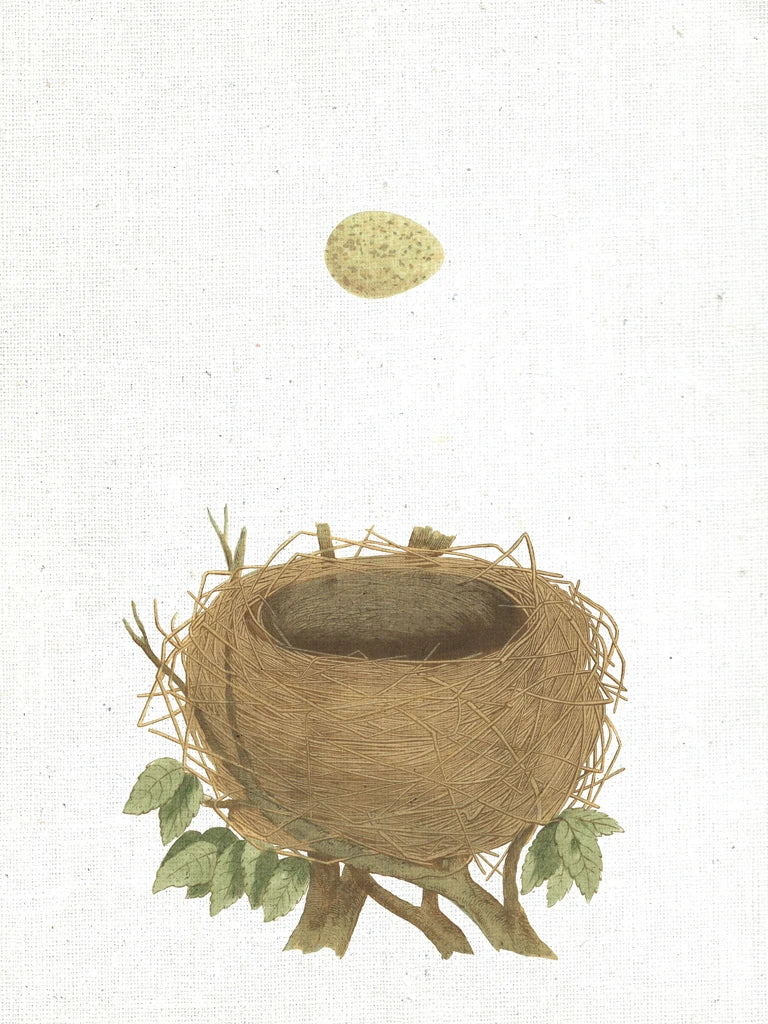 Spring Nest II by Moira Hershey