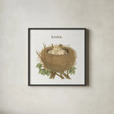 Spring Nest II Home by Moira Hershey. Shown in a sleek black glass frame for a contemporary gallery look. Available as an archival giclee rolled canvas, fine art paper, or poster print. SKU 71348a.