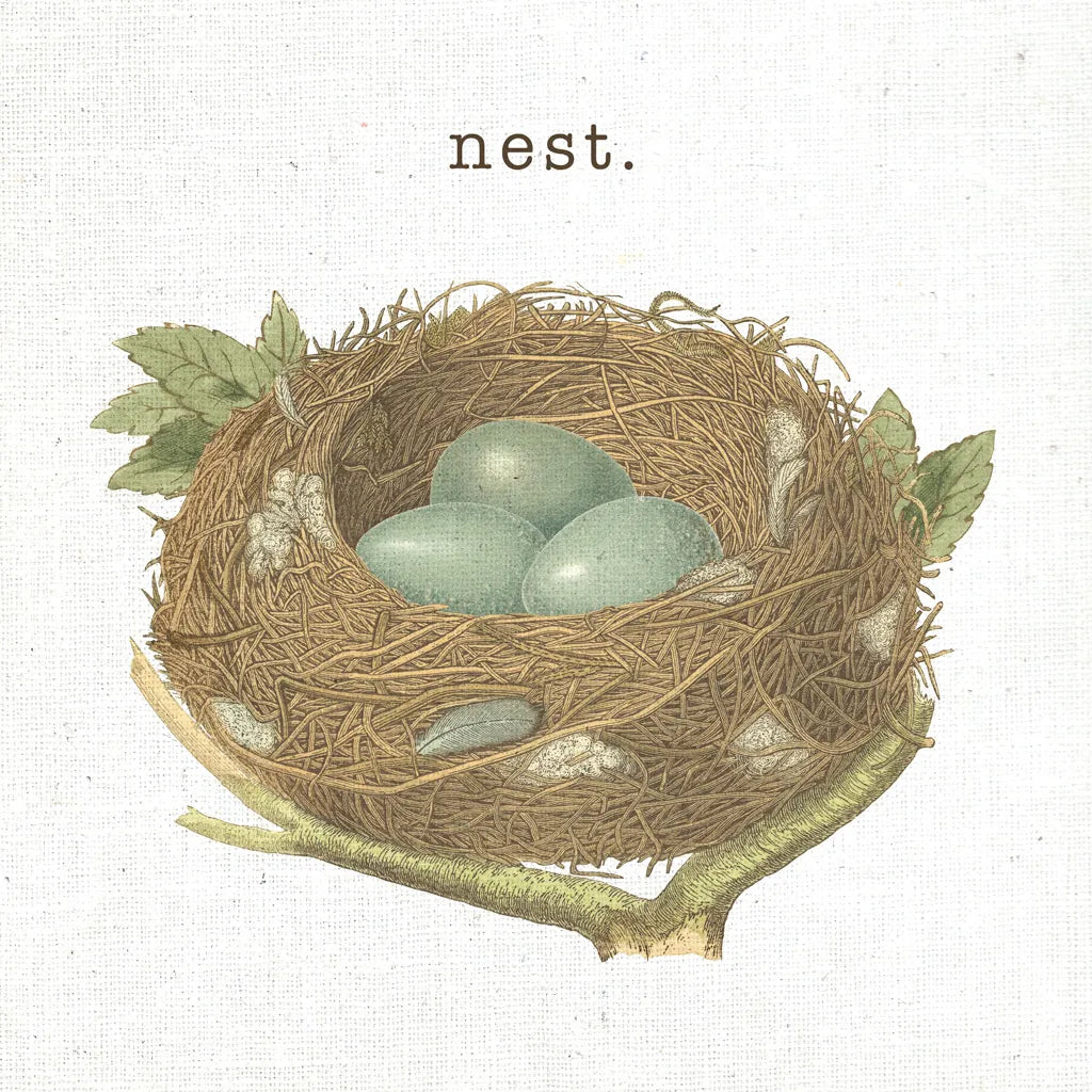 Spring Nest III Nest by Moira Hershey. SKU 71349a. Archival Giclee Fine art print for wall decor.