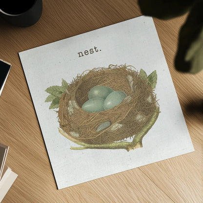 Spring Nest III Nest by Moira Hershey. Shown as a detailed flat fine art print, highlighting archival giclee quality. Available as an archival giclee rolled canvas, fine art paper, or poster print. SKU 71349a.