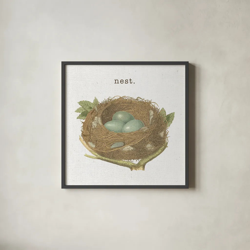Spring Nest III Nest by Moira Hershey. Shown in a sleek black glass frame for a contemporary gallery look. Available as an archival giclee rolled canvas, fine art paper, or poster print. SKU 71349a.