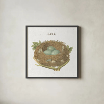 Spring Nest III Nest by Moira Hershey. Shown in a sleek black glass frame for a contemporary gallery look. Available as an archival giclee rolled canvas, fine art paper, or poster print. SKU 71349a.
