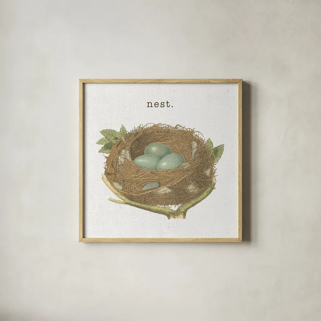 Spring Nest III Nest by Moira Hershey. Shown in a natural wood glass frame for a timeless modern aesthetic. Available as an archival giclee rolled canvas, fine art paper, or poster print. SKU 71349a.