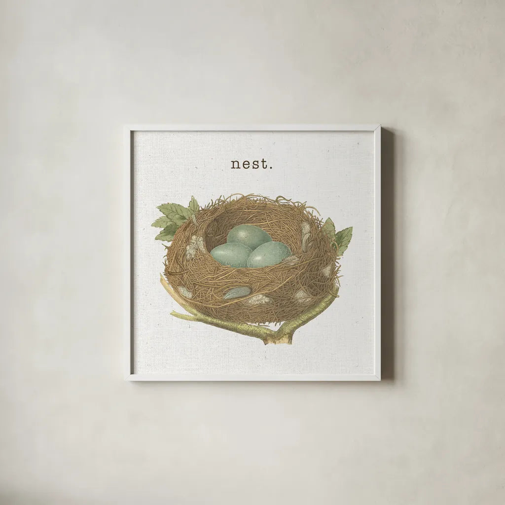 Spring Nest III Nest by Moira Hershey. Shown in a crisp white glass frame for a clean and minimalist style. Available as an archival giclee rolled canvas, fine art paper, or poster print. SKU 71349a.