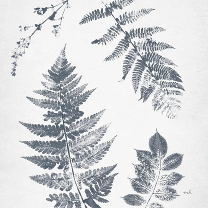 Walk in the Woods I Crop by Moira Hershey. SKU 56388a. Archival Giclee Fine art print for wall decor.