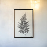 Walk in the Woods II by Moira Hershey. shown as a paper print in a black flame. Available as a archival giclee rolled canvas, fine art paper, or poster print. SKU 69199h.