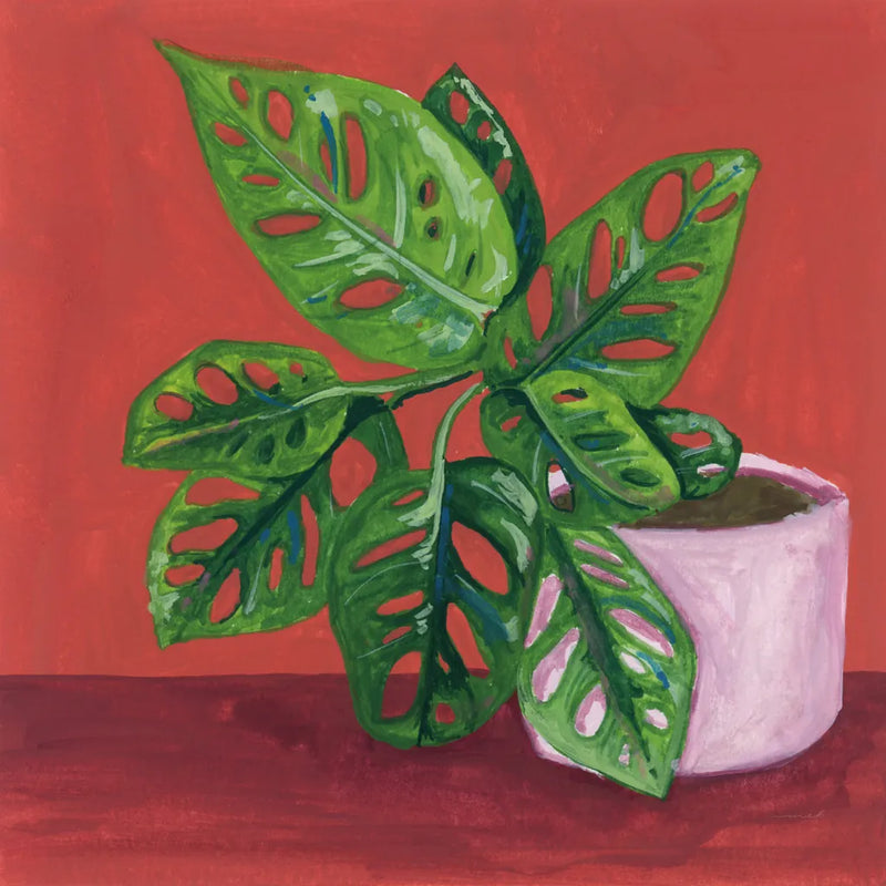 Monstera Study by Morgan Birch. SKU 103115a. Archival Giclee Fine art print for wall decor.