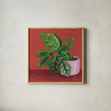 Monstera Study by Morgan Birch. Shown in a natural wood glass frame for a timeless modern aesthetic. Available as an archival giclee rolled canvas, fine art paper, or poster print. SKU 103115a.
