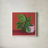 Monstera Study by Morgan Birch. Shown in a crisp white glass frame for a clean and minimalist style. Available as an archival giclee rolled canvas, fine art paper, or poster print. SKU 103115a.