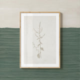 Gifts from the Meadow VI