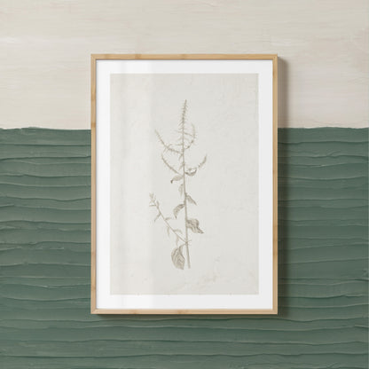 Gifts from the Meadow VI