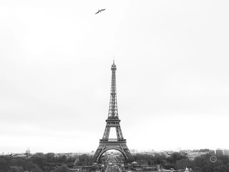 A Birds View of Paris by Nathan Larson
