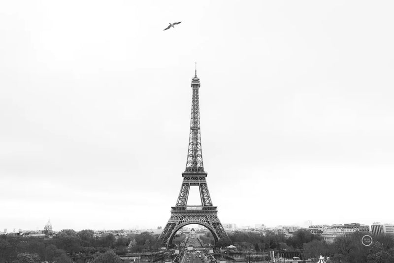 A Birds View of Paris Crop I by Nathan Larson. SKU 71188i. Archival Giclee Fine art print for wall decor.
