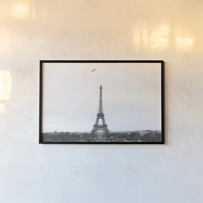 A Birds View of Paris Crop I by Nathan Larson. shown as a paper print in a black flame. Available as a archival giclee rolled canvas, fine art paper, or poster print. SKU 71188i.