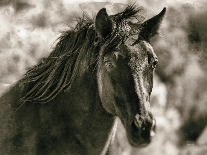 A Horse Called Utah Sepia by Nathan Larson