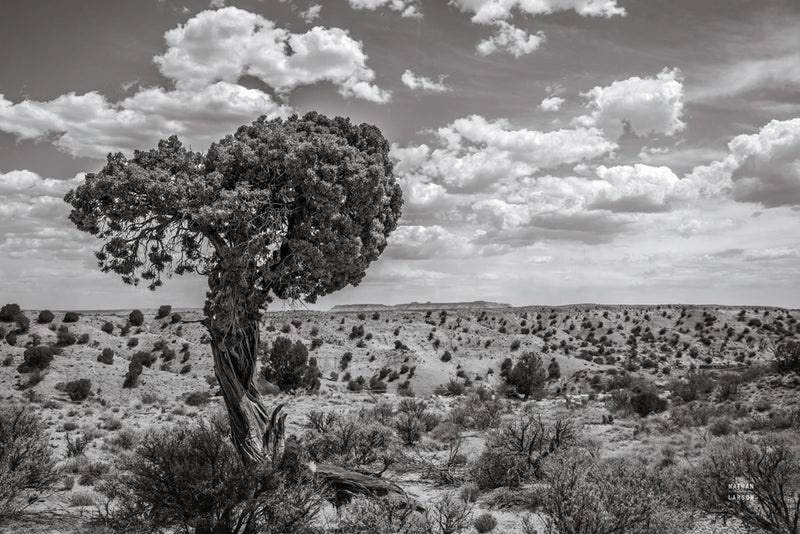 Across the Border I by Nathan Larson