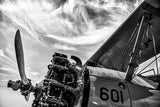 Aero Maquina Big Yellow BW by Nathan Larson. SKU 73110i. Archival Giclee Fine art print for wall decor.