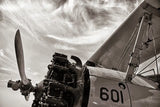 Aero Maquina Big Yellow Sepia by Nathan Larson. SKU 73111i. Archival Giclee Fine art print for wall decor.