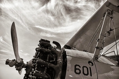 Aero Maquina Big Yellow Sepia by Nathan Larson. SKU 73111i. Archival Giclee Fine art print for wall decor.