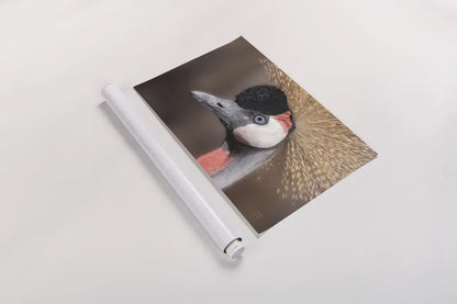 African Crowned Crane by Nathan Larson. shown as a rolled paper print. Available as archival giclee rolled canvas, fine art paper, or poster print. SKU 82300i.