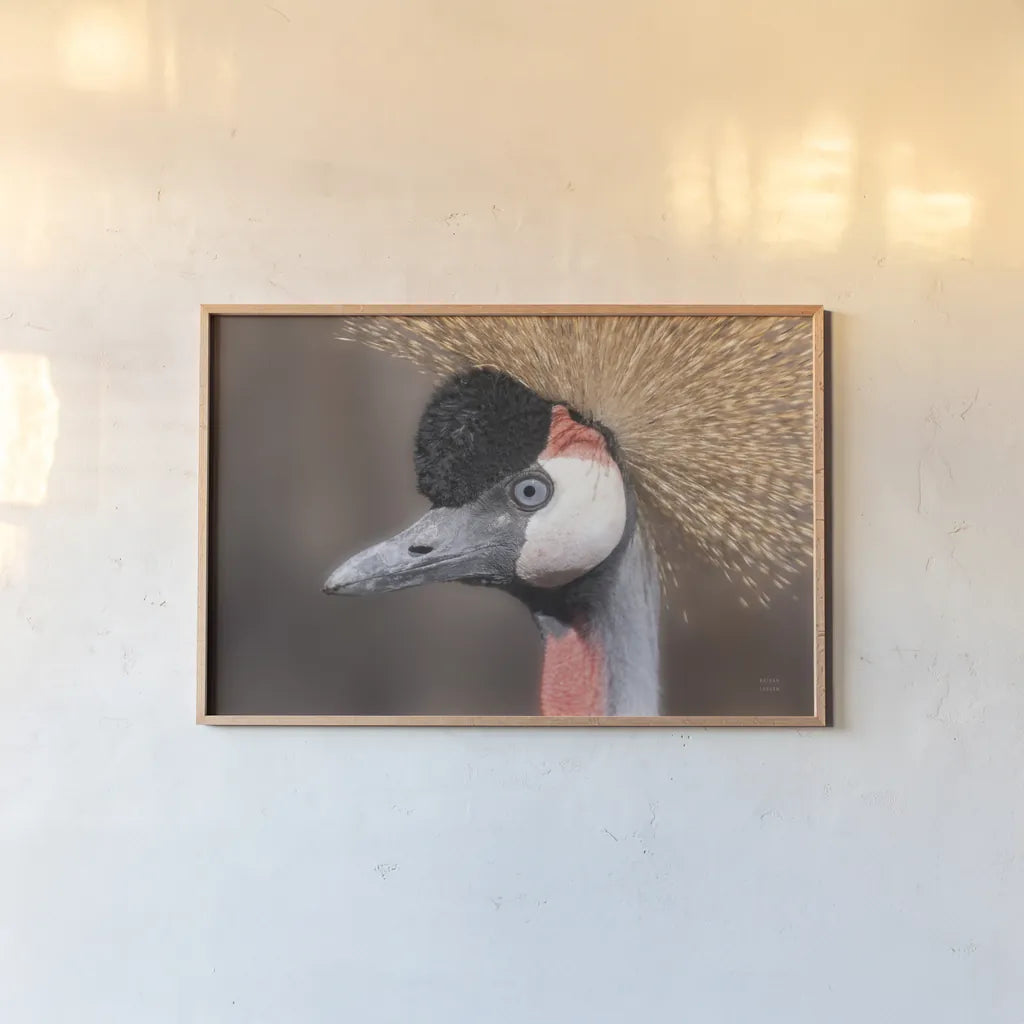 African Crowned Crane by Nathan Larson. shown as a paper print in a natural frame. Available as a archival giclee rolled canvas, fine art paper, or poster print. SKU 82300i.