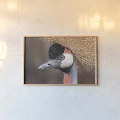 African Crowned Crane by Nathan Larson. shown as a paper print in a natural frame. Available as a archival giclee rolled canvas, fine art paper, or poster print. SKU 82300i.