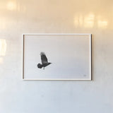 Air Clan by Nathan Larson. shown as a paper print in a white frame. Available as a archival giclee rolled canvas, fine art paper, or poster print. SKU 72696i.