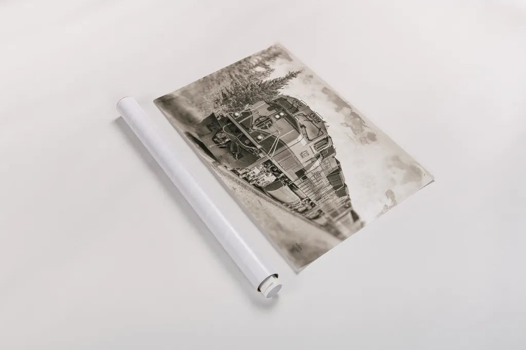 Alaskan Railroad in Denali by Nathan Larson. shown as a rolled paper print. Available as archival giclee rolled canvas, fine art paper, or poster print. SKU 94124i.