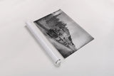Alaskan Train by Nathan Larson. shown as a rolled paper print. Available as archival giclee rolled canvas, fine art paper, or poster print. SKU 94125i.