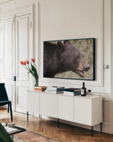 Alberta Black Bear by Nathan Larson. shown as a framed stretched canvas in a living room above a console. Available as a archival giclee rolled canvas, fine art paper, or poster print. SKU 100749i.