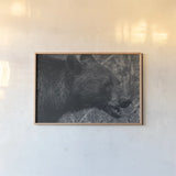 Alberta Black Bear BW by Nathan Larson. shown as a paper print in a natural frame. Available as a archival giclee rolled canvas, fine art paper, or poster print. SKU 100751i.